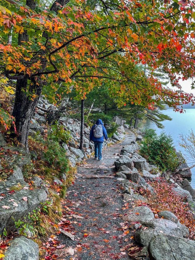 A colorful walk.  Taken on a rainy day at Jordan Pond.