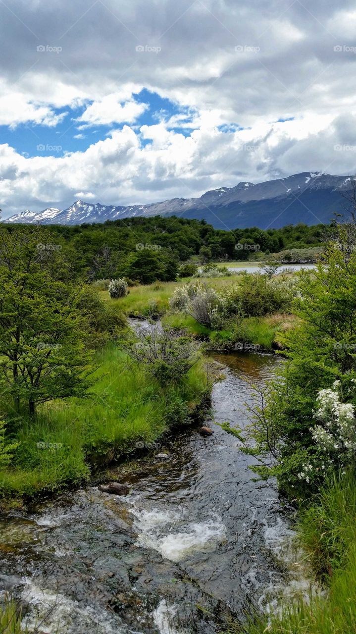 South American landscape