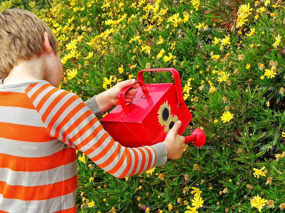 Little Boy In The Garden