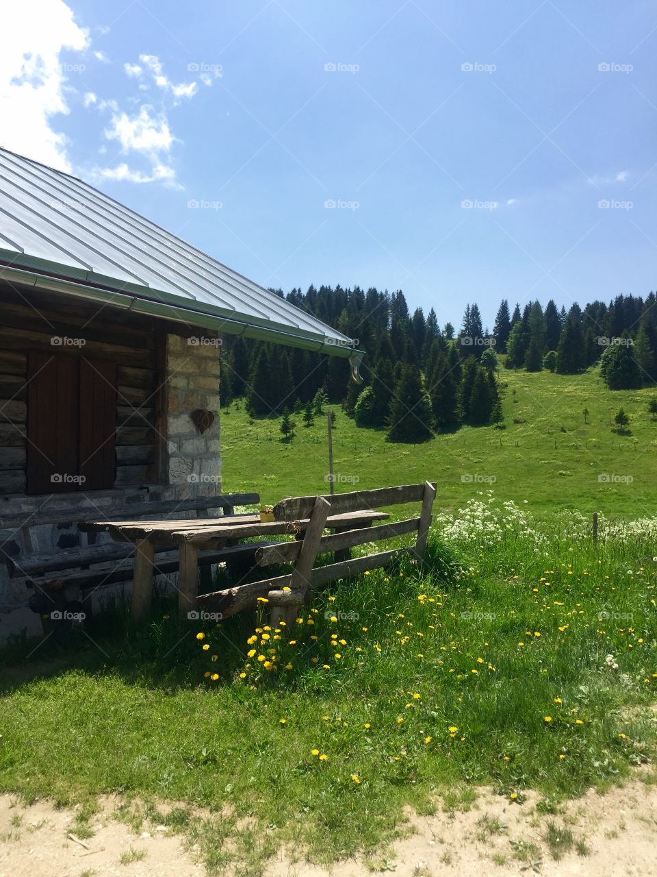 Hillside near Asiago, Italy