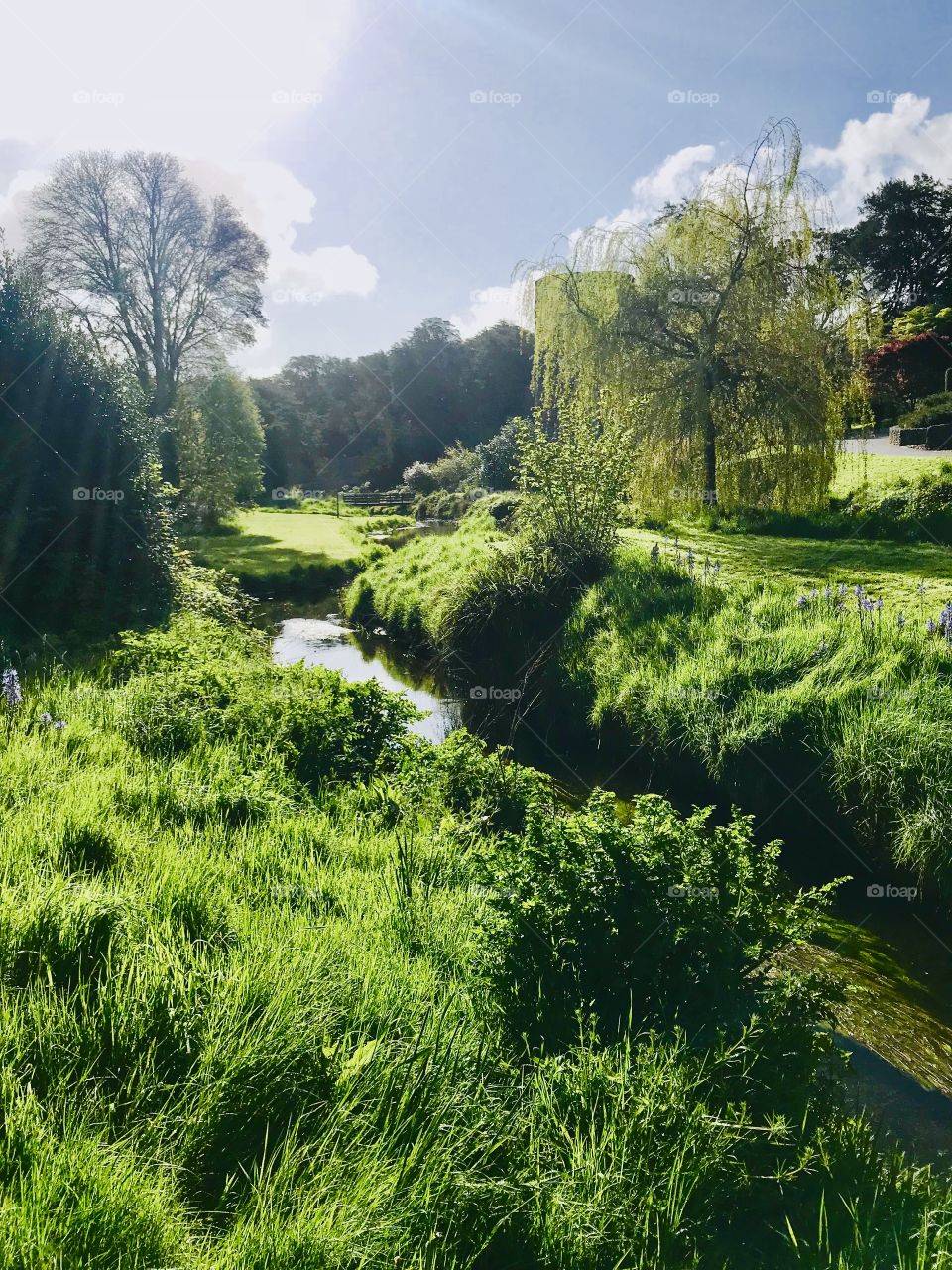Ireland stream