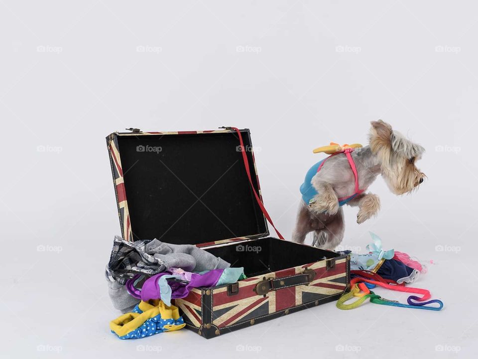 Suitcase for holiday Eduardo y Elisabett