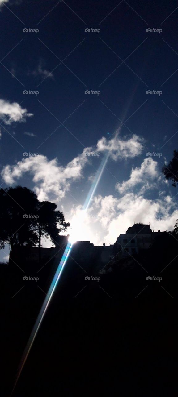 Trees, cloudy sky, grass, branches