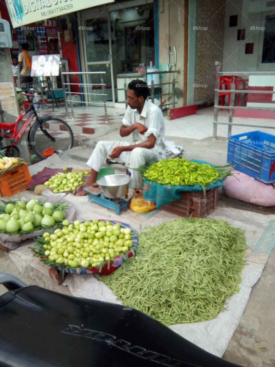 people in small business- the vegitables