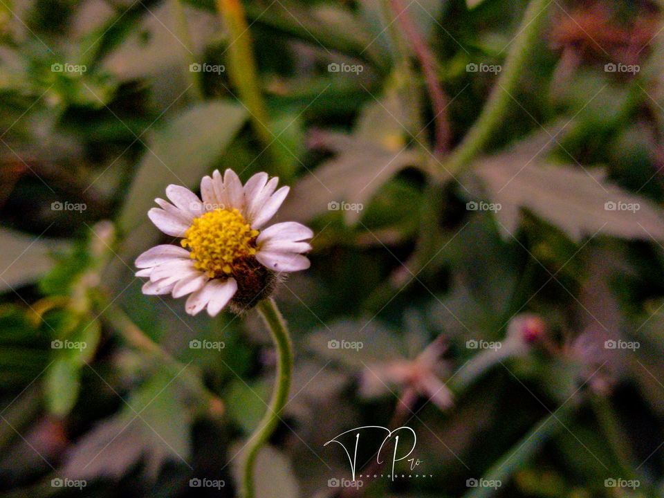 We rise above all circumstances