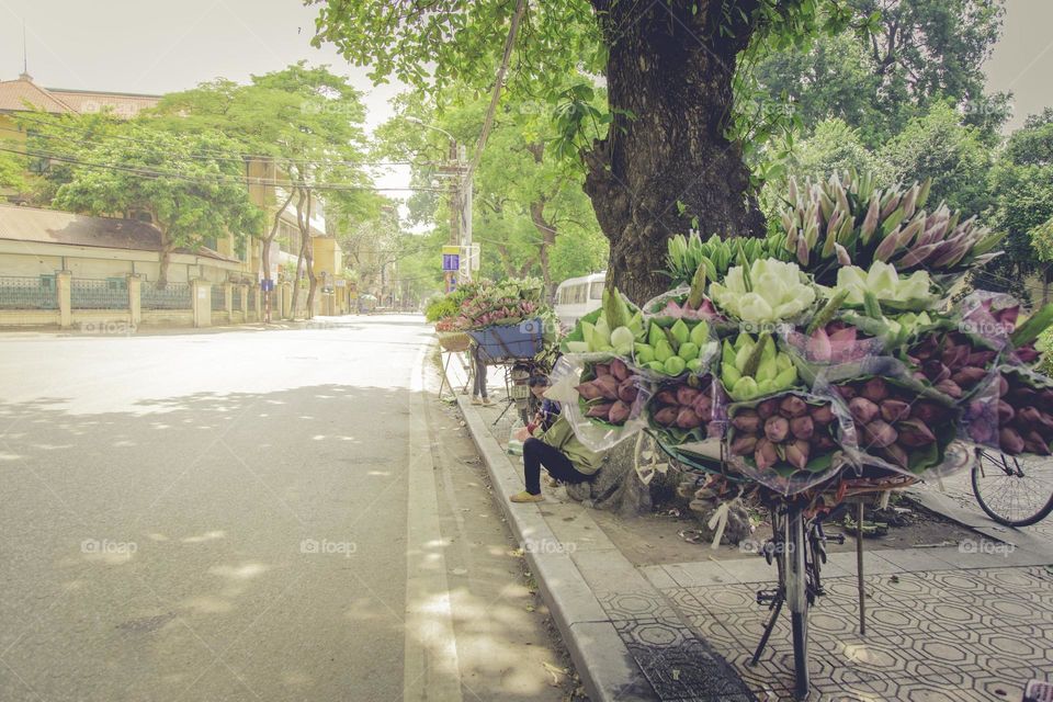 Flower road in Ha Noi city