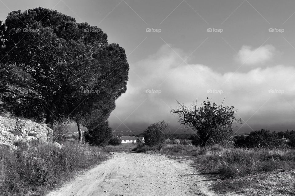 View of dirt road in rural scene