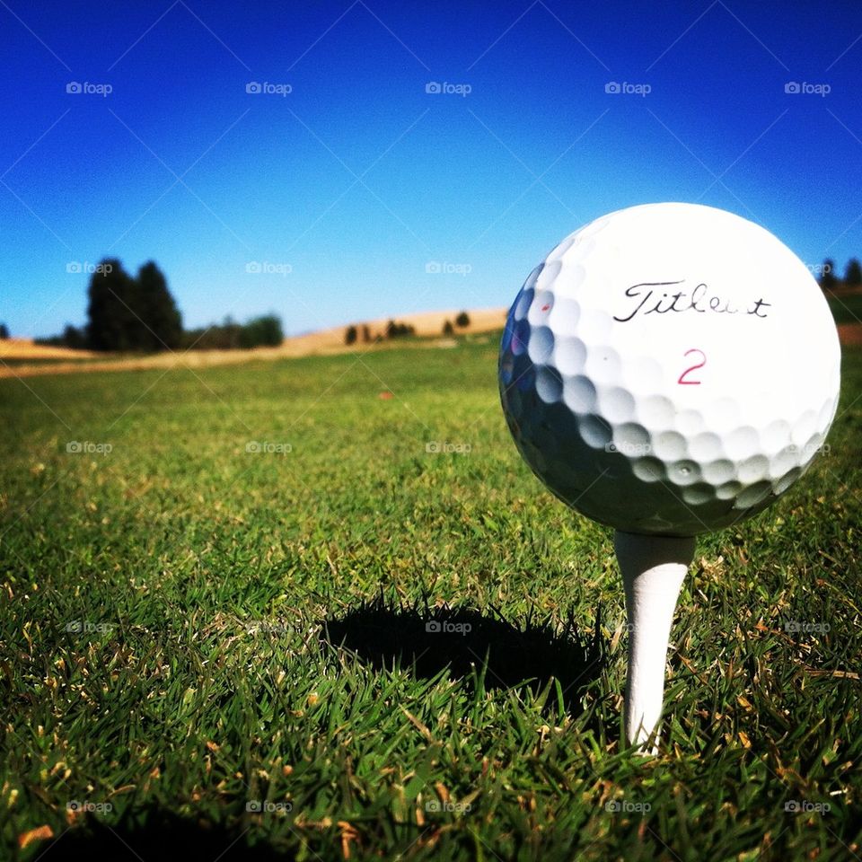 A Day In The Fairway 