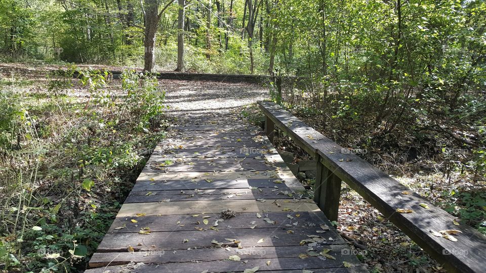 a rustic-looking bridge along the path that goes through the Abraham Lincoln's Memorial Gardens