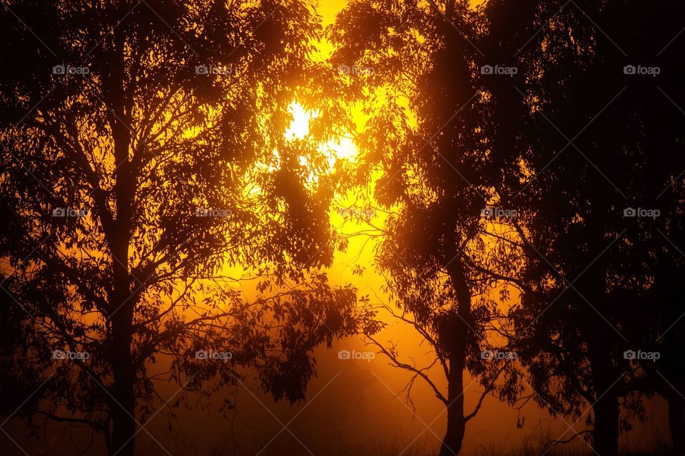 Sunrise in the outback’s of Australia 