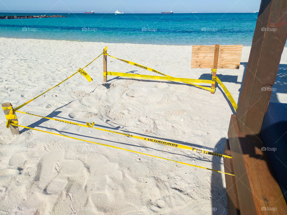 Turtle nest on the beach