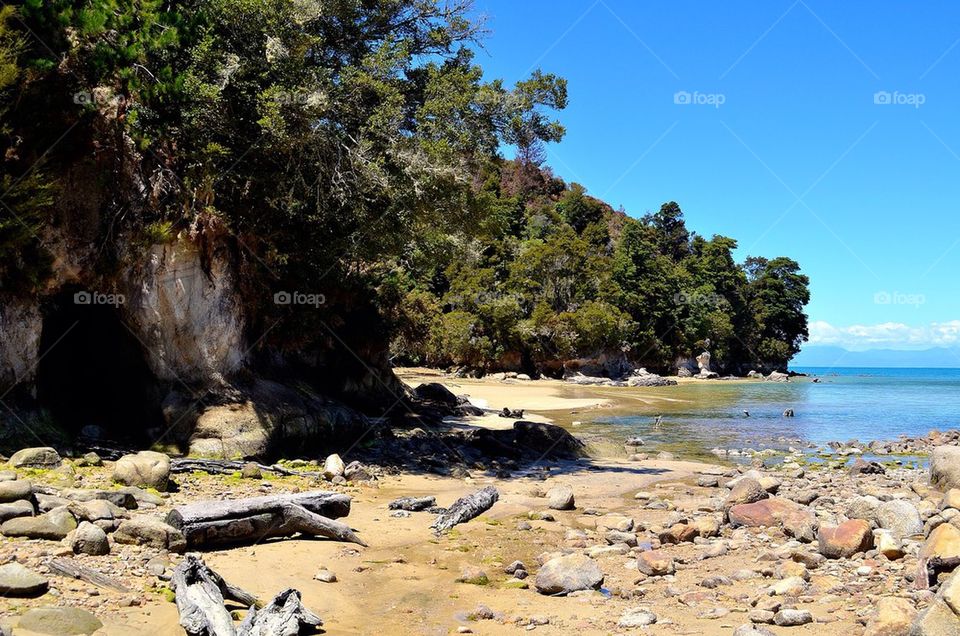 Nz beach2