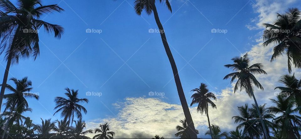 Evening sky at the end of the year