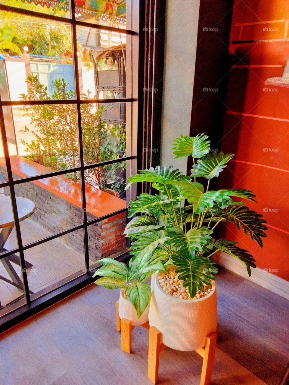 Trees are everywhere.