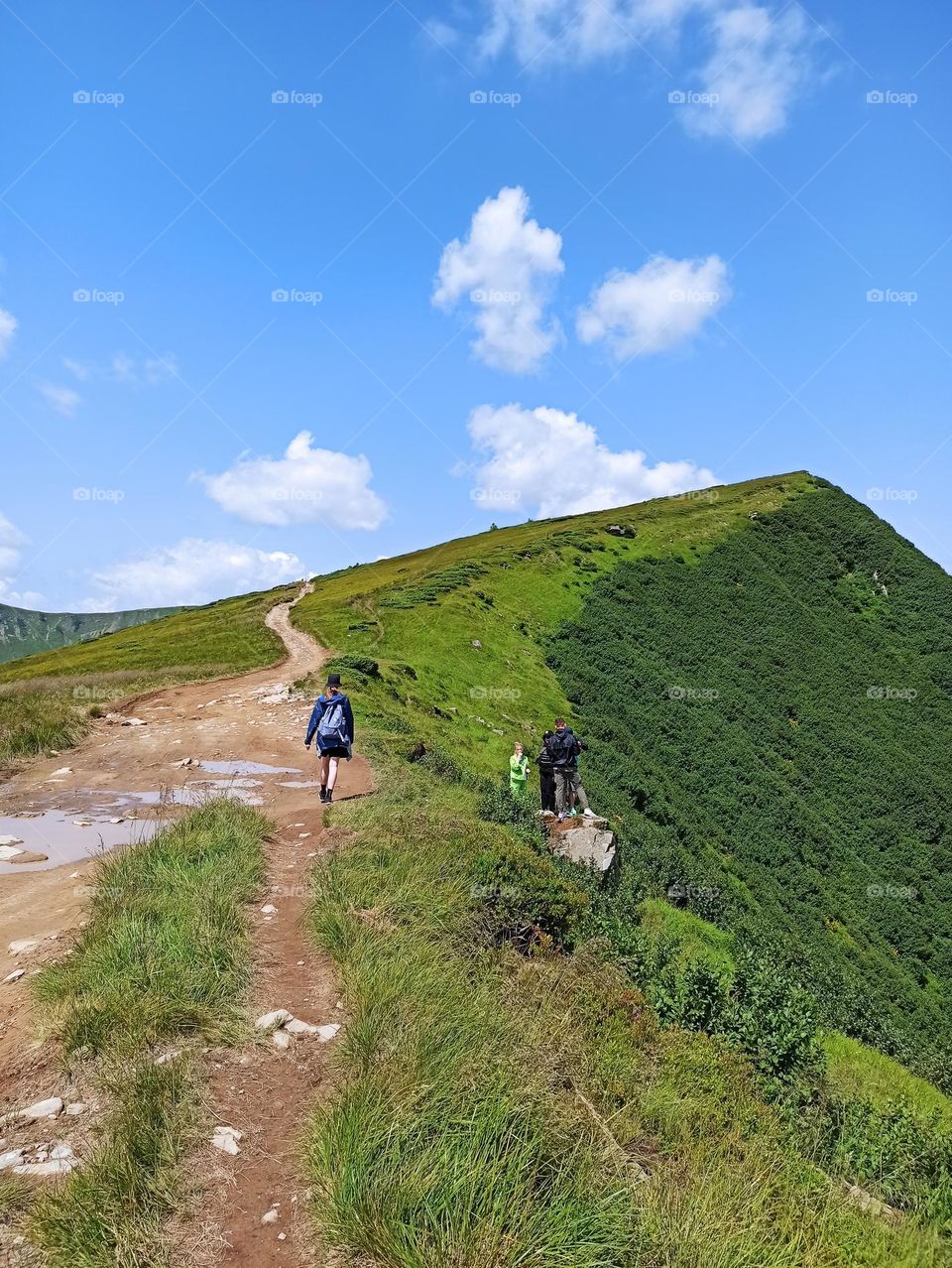 trekking in the mountains. travel to the Carpathian mountains