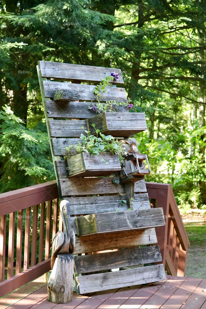 Outdoor gardening using wood pallets 