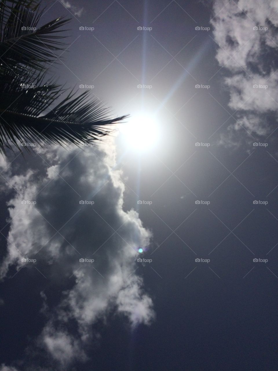 Looking into the sky