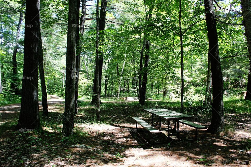 A campground with a picnic table in the summer