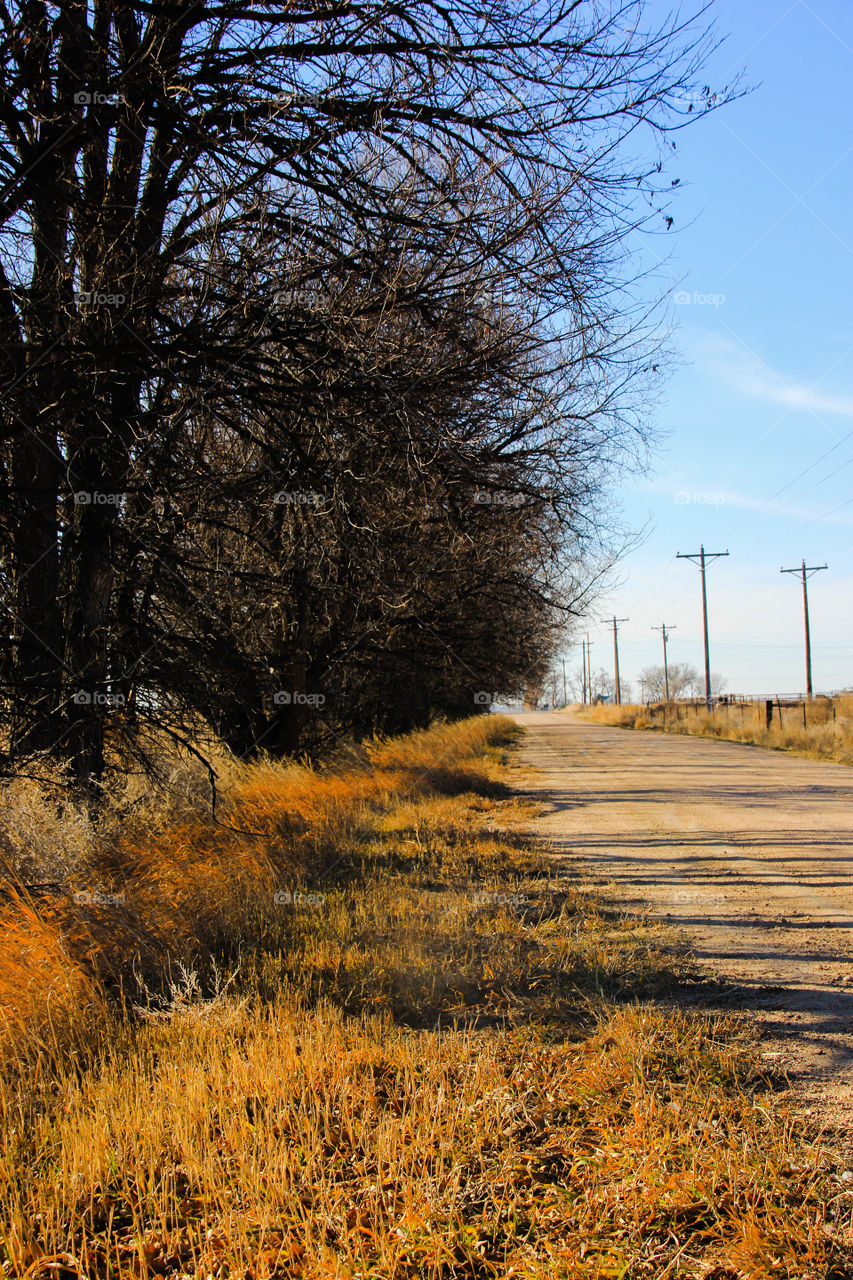 Scenery, county Road