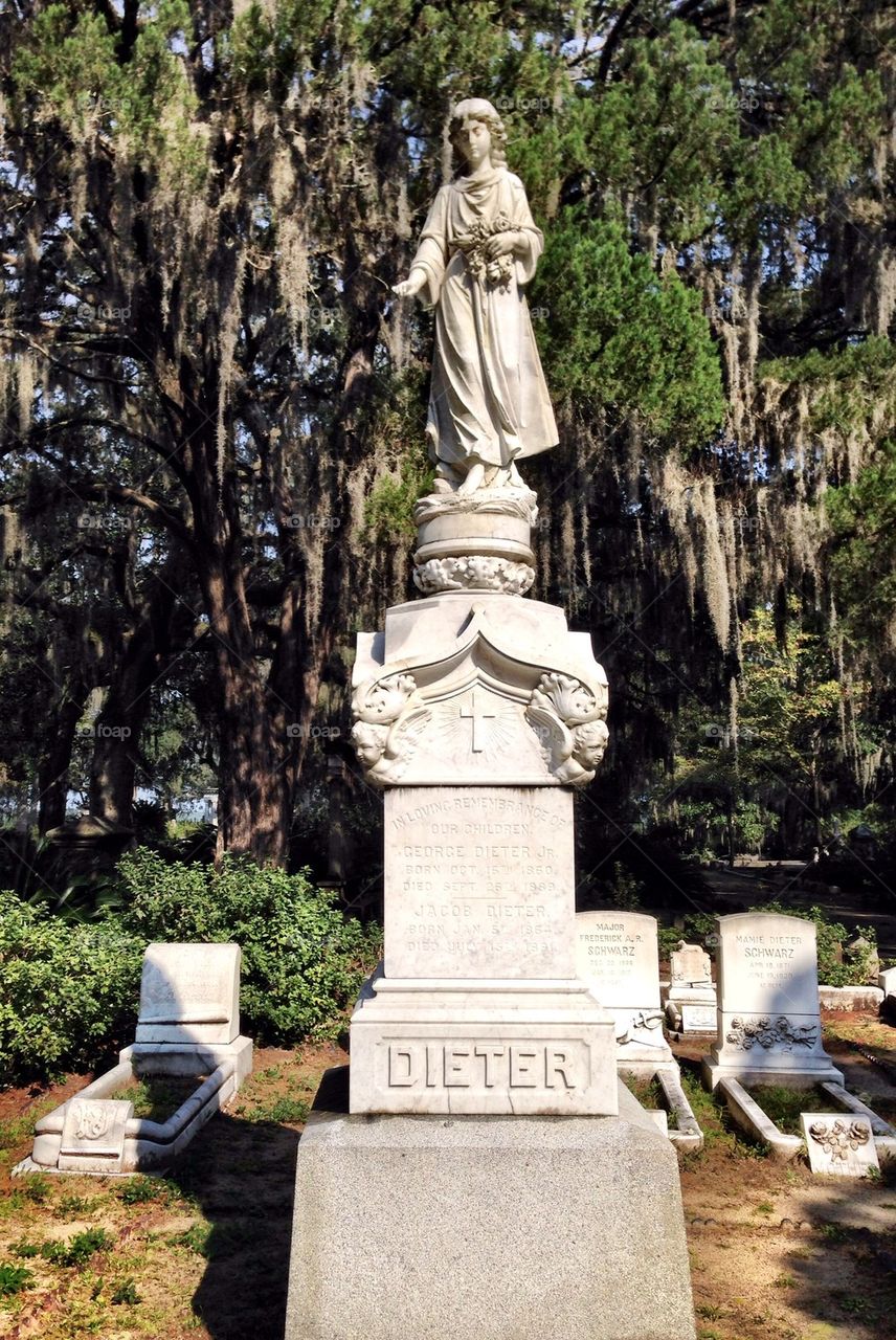 statue stone monument savannah by cable