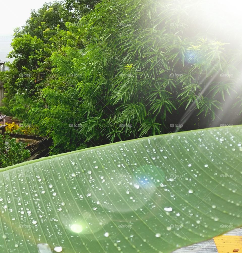 Sunshine and rain in the Dominican Republic
