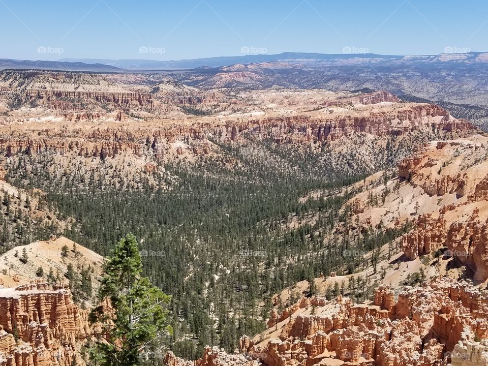 This is a beautiful view of the very expansive Bryce Canyon National Park