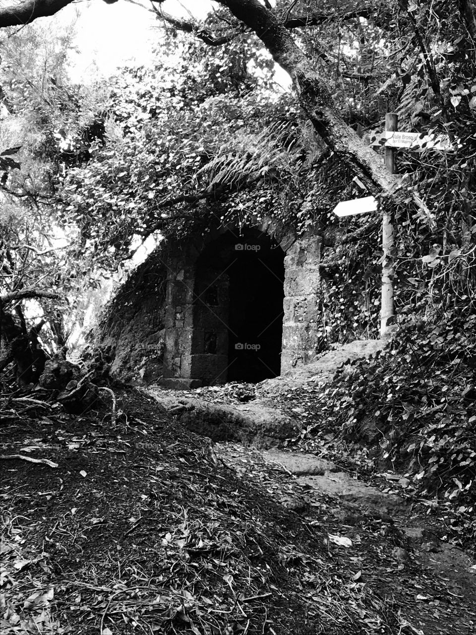 Discovering Tenerife. An abandoned hut found in a rainforest 