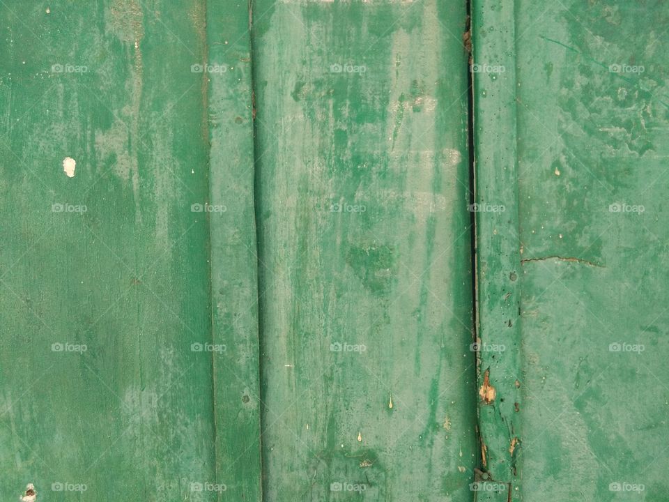 Close-up of a green old wood grain