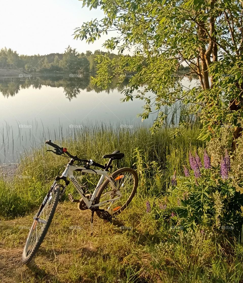 bike 🚲 outside beautiful nature landscape lake shore