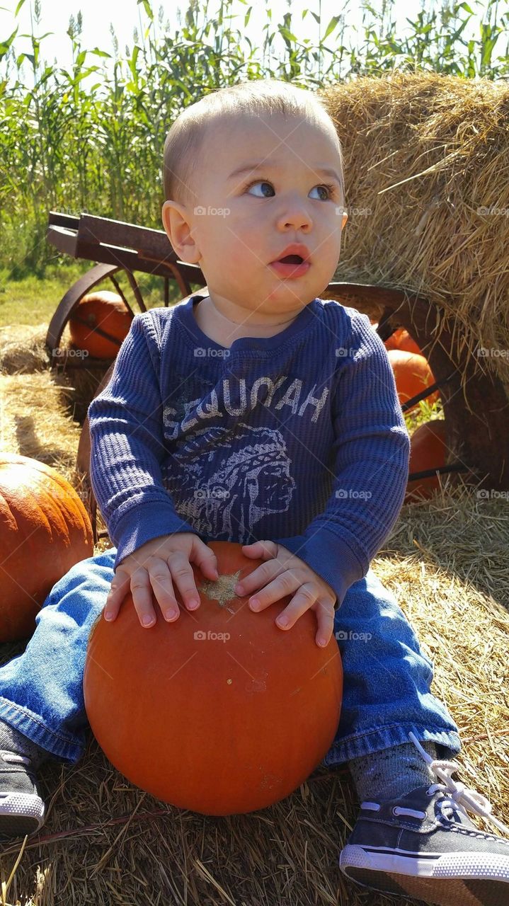 day at pumpkin patch