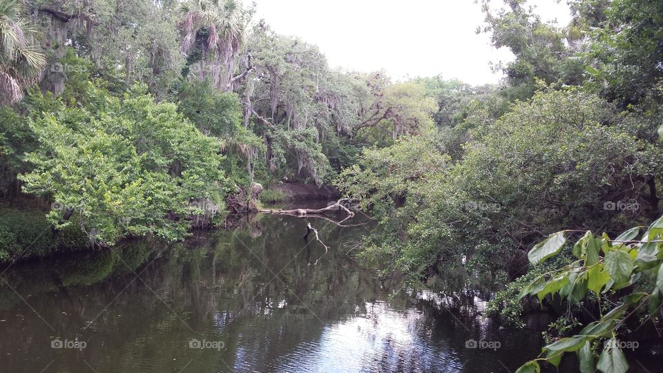 Turkey Creek at Palm Bay, FL. taken at the boat launch in Turkey Creek Sanctuary