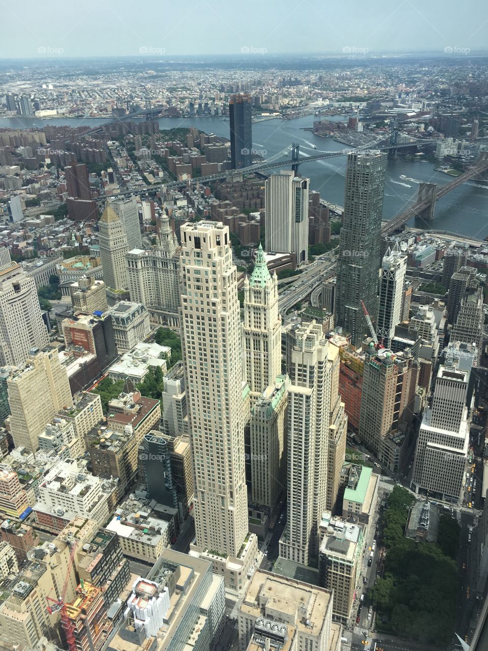 View from Freedom Tower