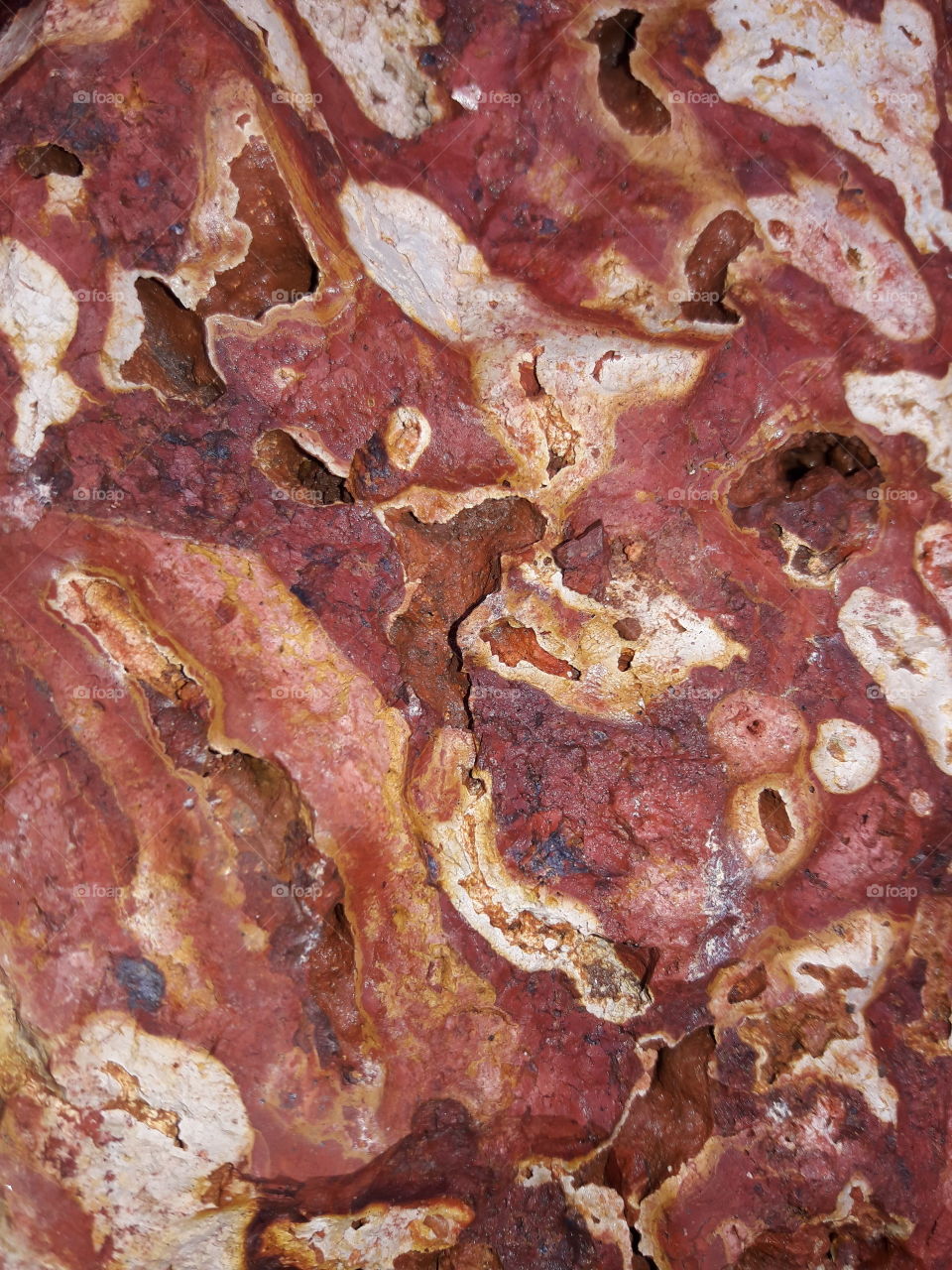 Raw meat cut stone reddish texture color form