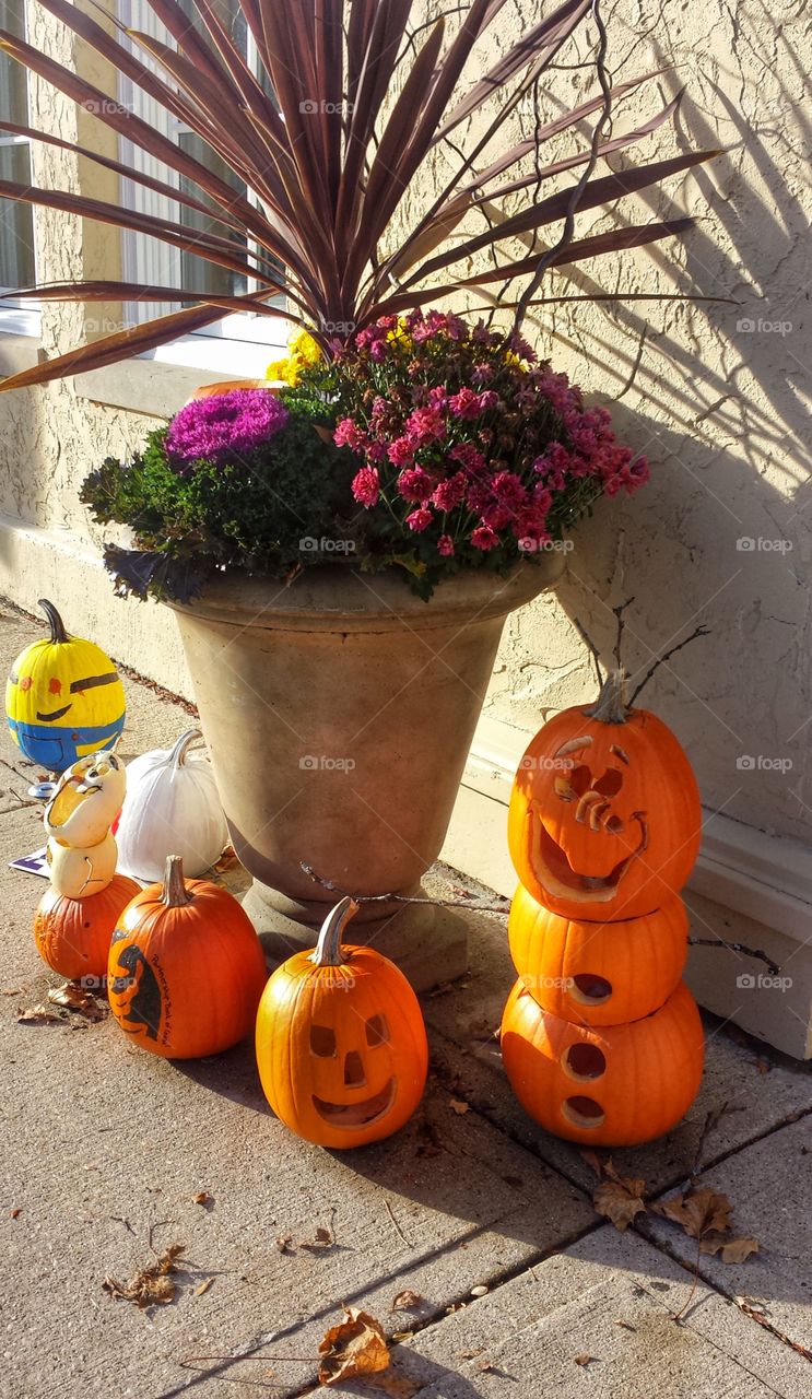 Pumpkins & Flowers