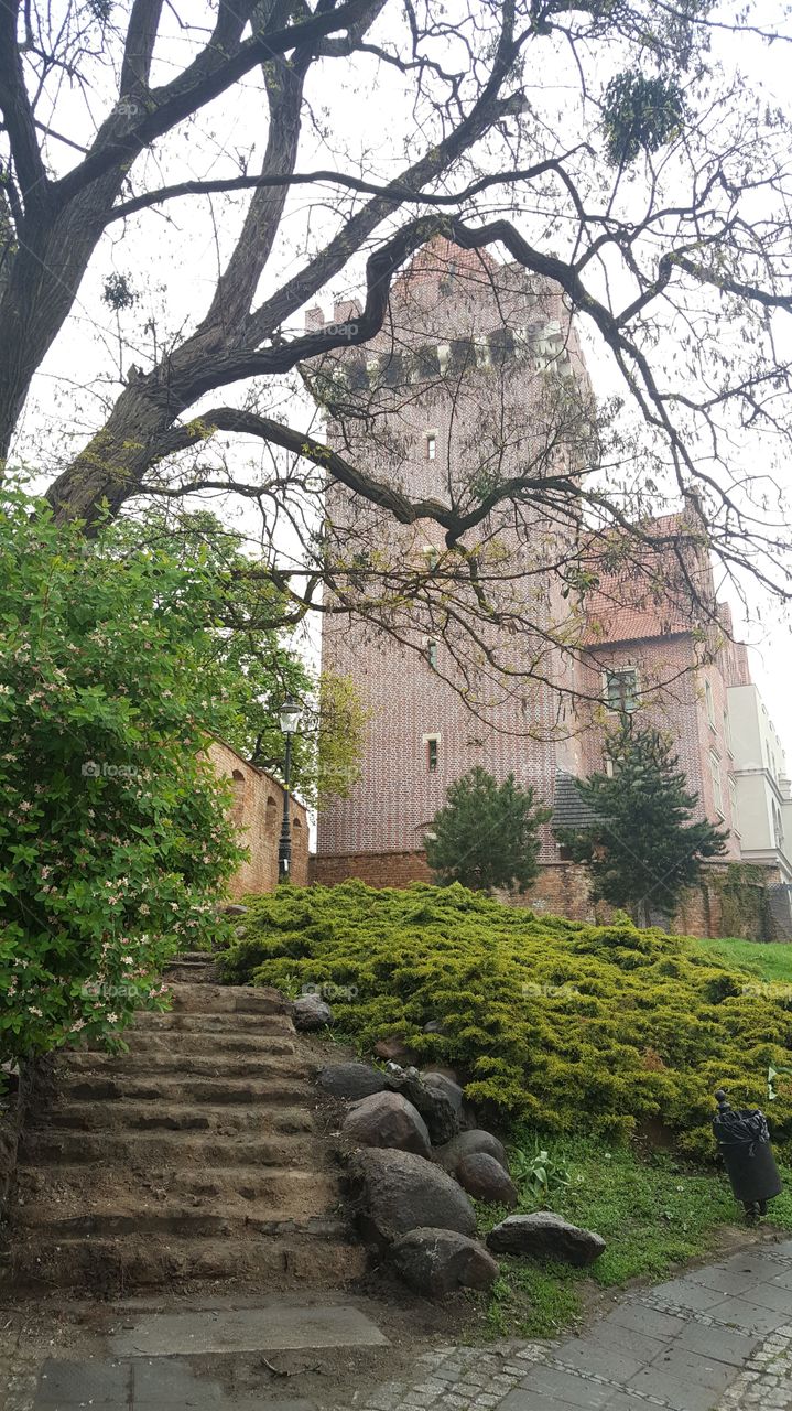 Architecture, Tree, Building, No Person, Travel