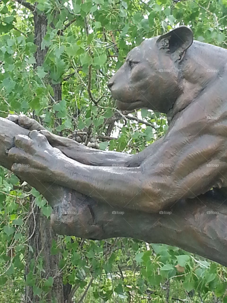Profile of Mountain Lion Sculpture