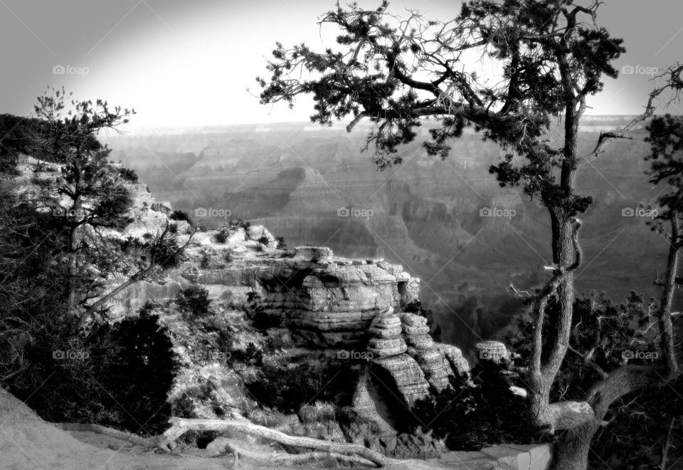 The Grand Canyon Southrim