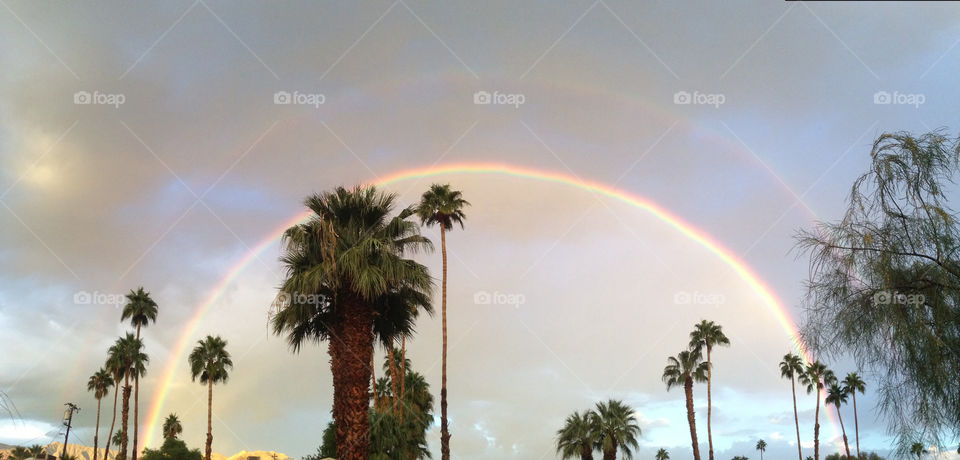 double rainbow desert palm trees clouds rain rainbows palms sky palm desert by davidi92260