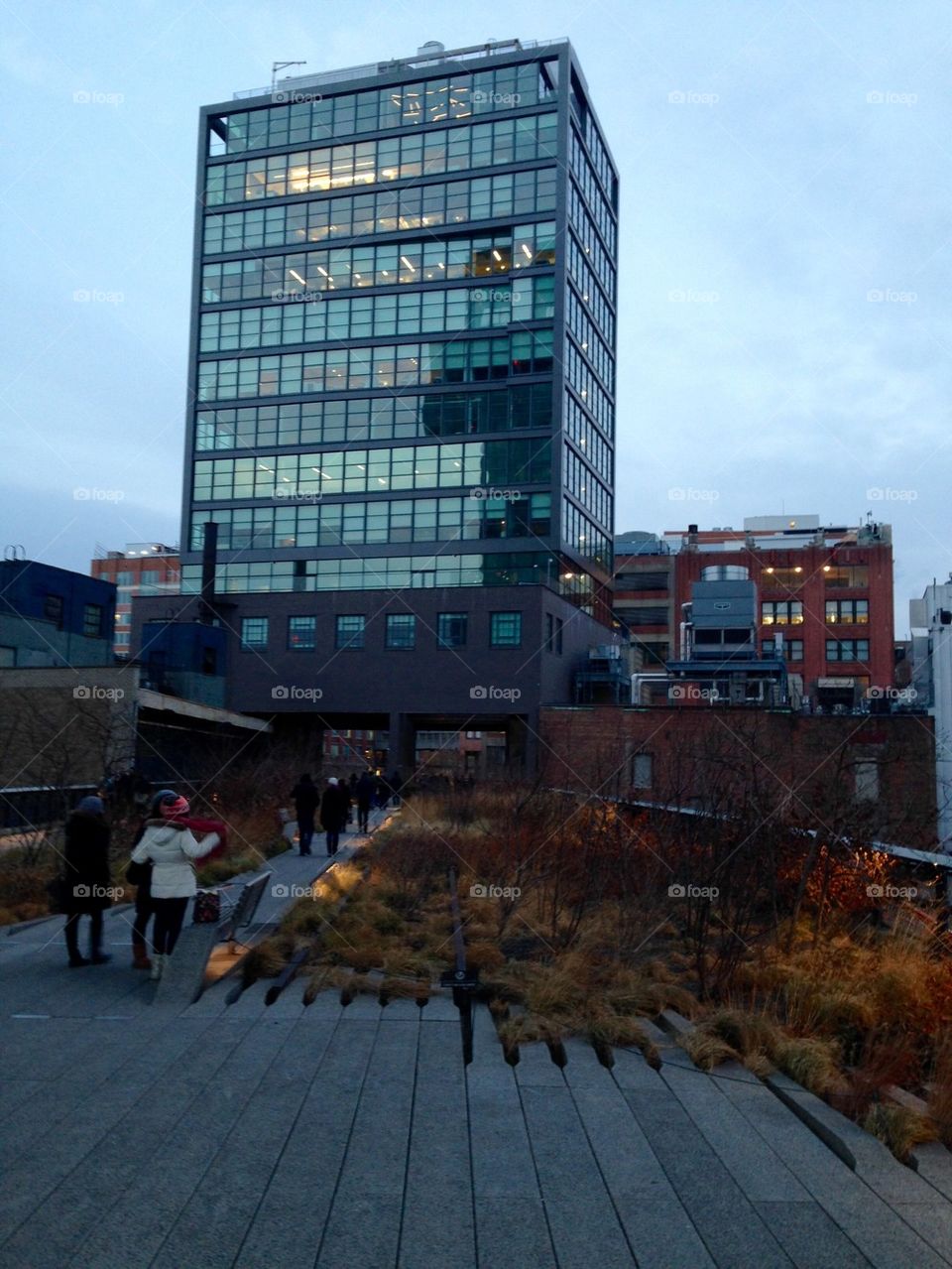 The High Line 