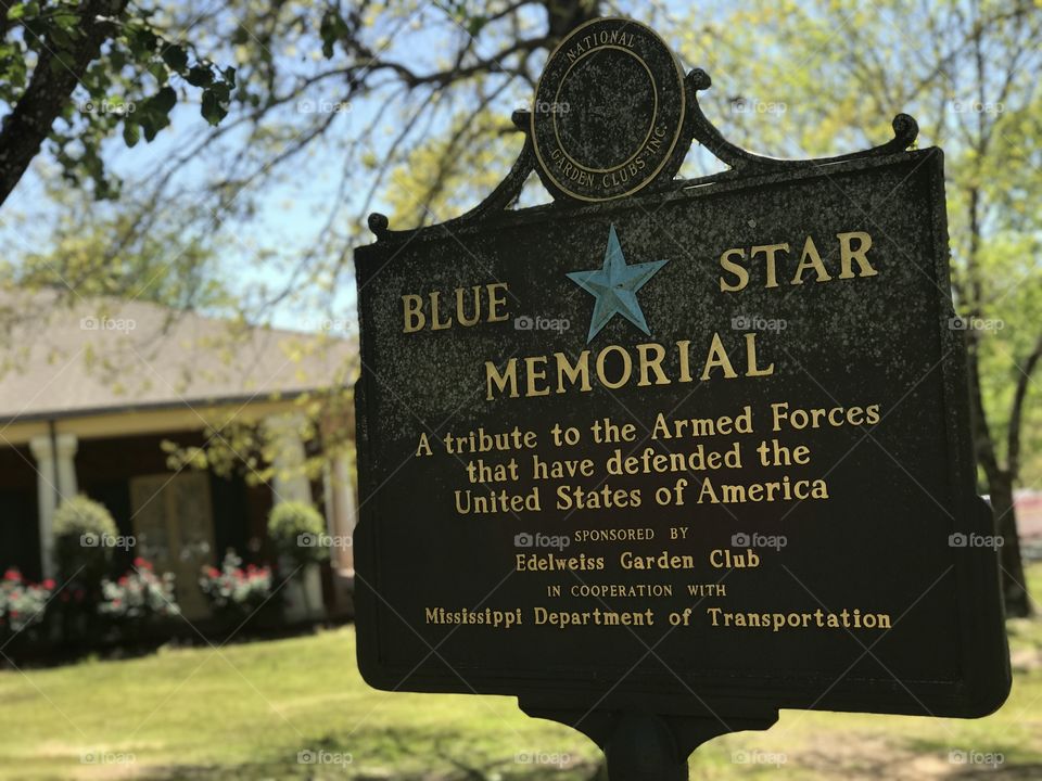 Captured this awesome memorial on my travels to Mississippi from Georgia. The Blue Star Memorial!!