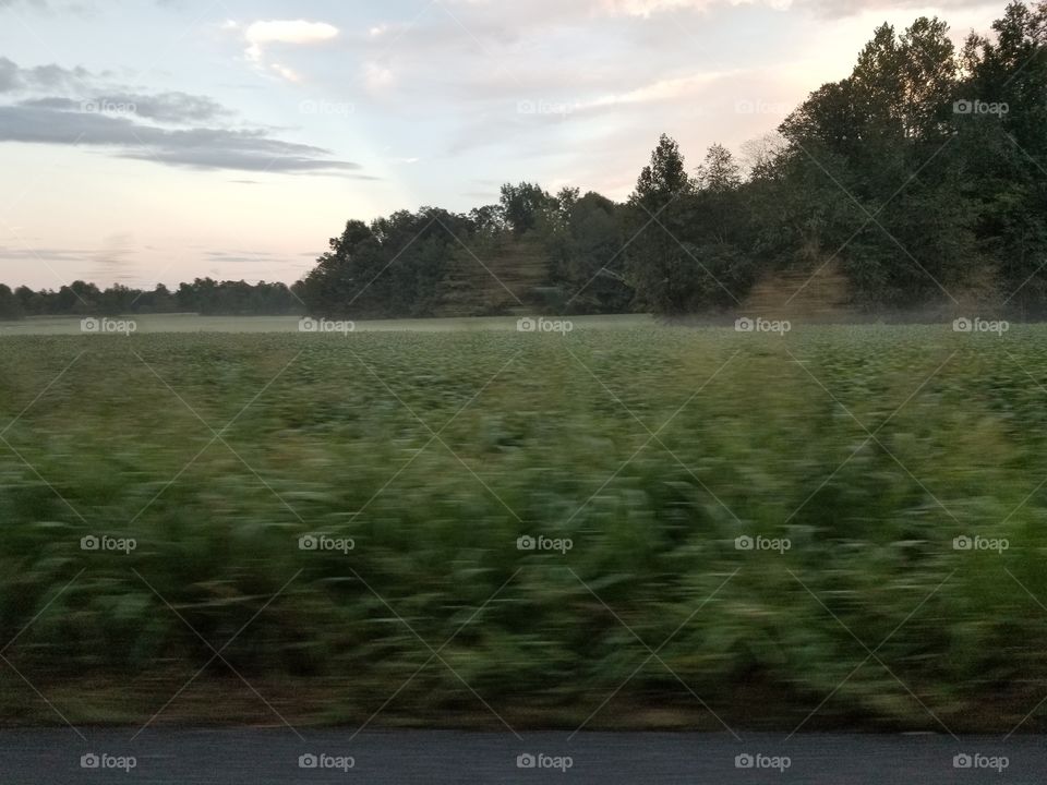 It's steamy after the rain.