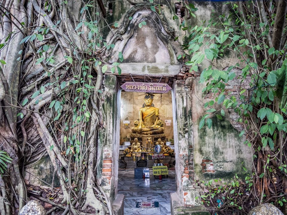 Samut Songkhram/Thailand-Unseen Thailand Bang Kung Temple,Church in Bodhi Tree