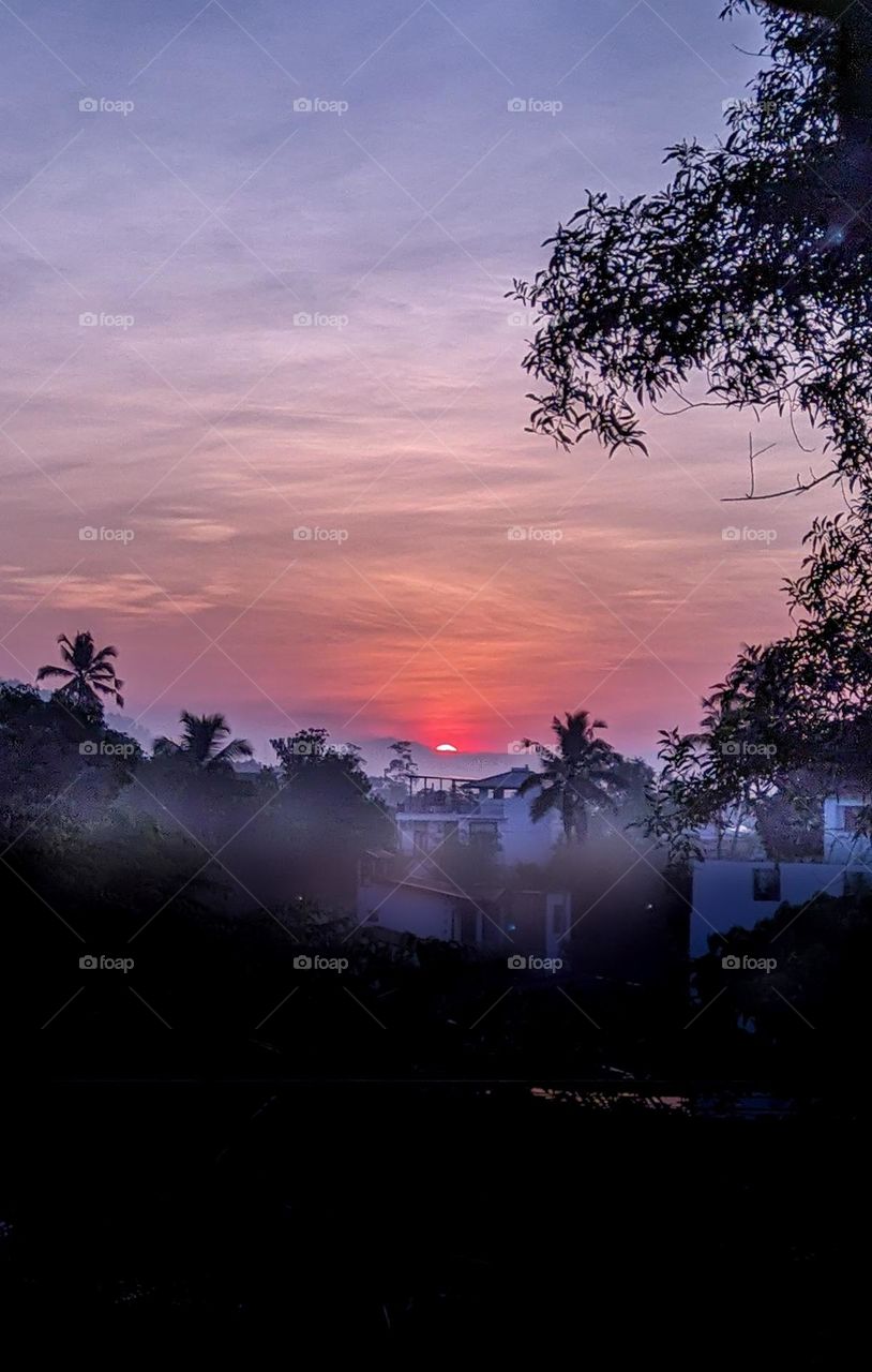 the mist beautiful morning..