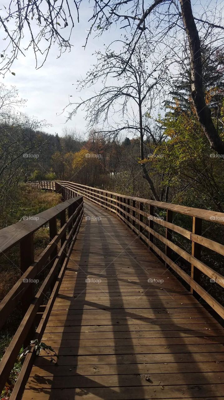 Wooden plank path through a scenic area in the fall
