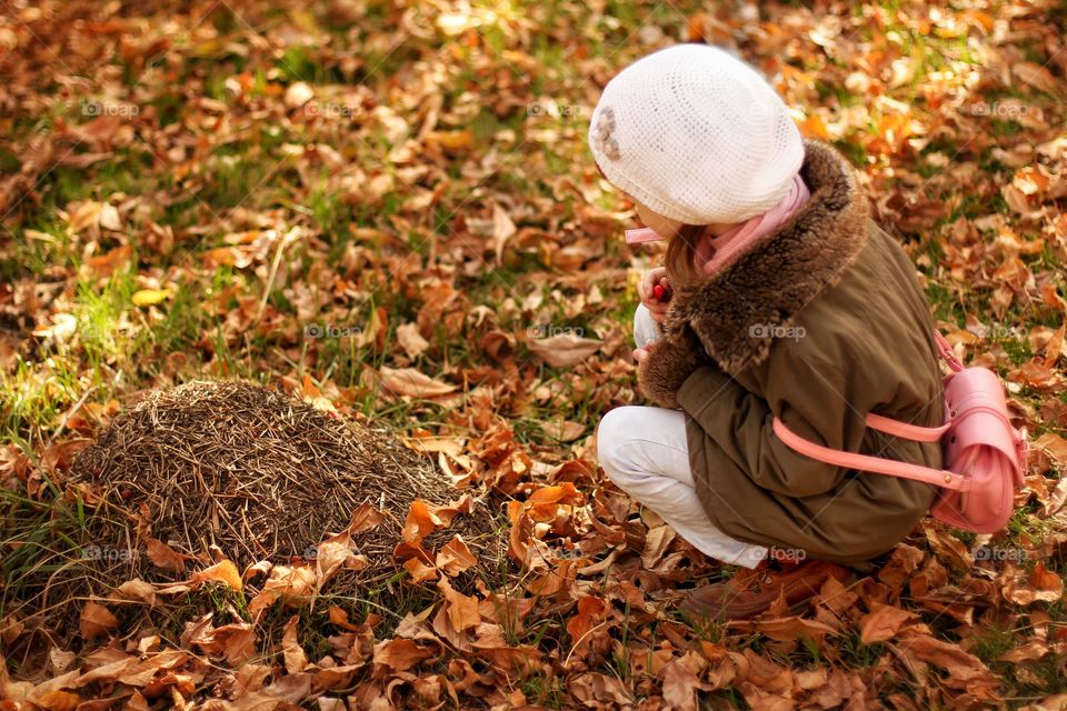 Girl looks at anthill in autumn park