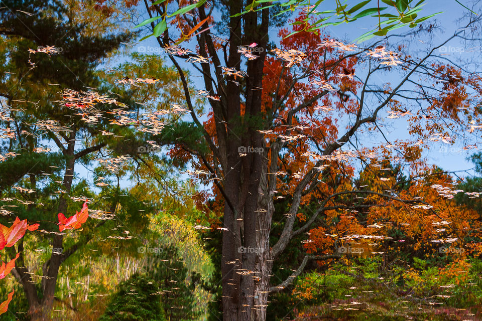 fall through the water