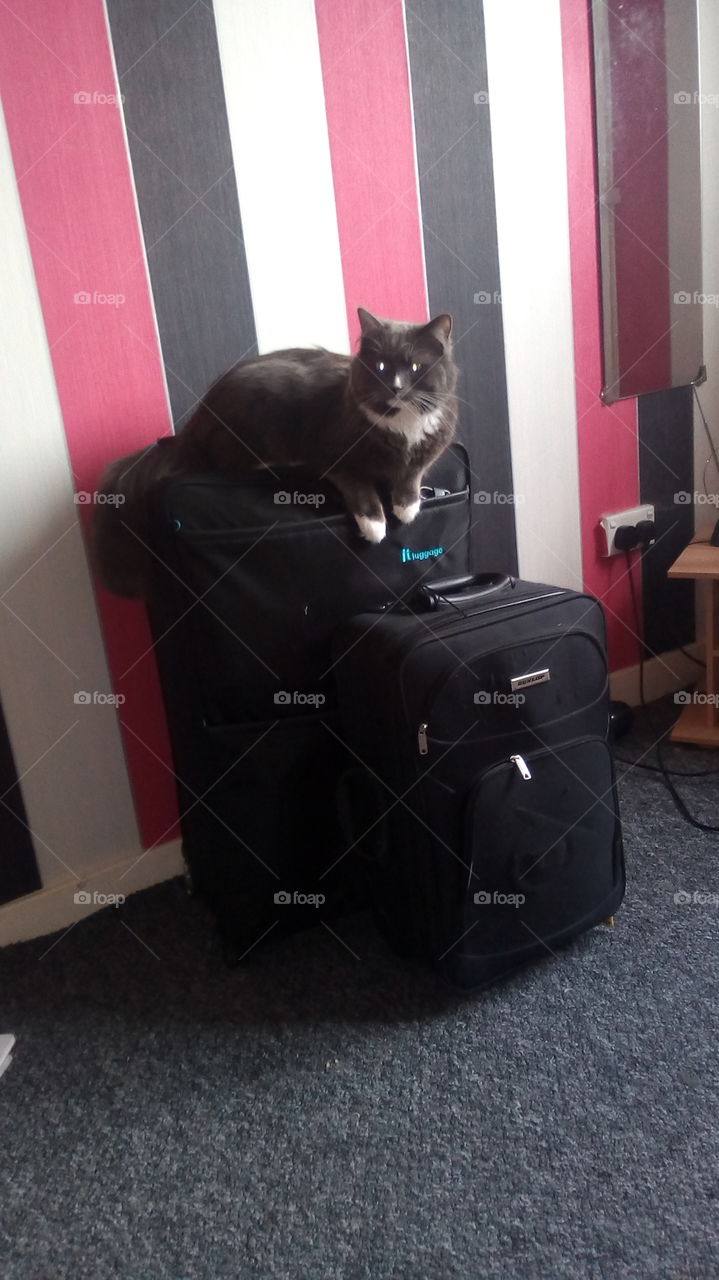 somebody wants to come on holiday