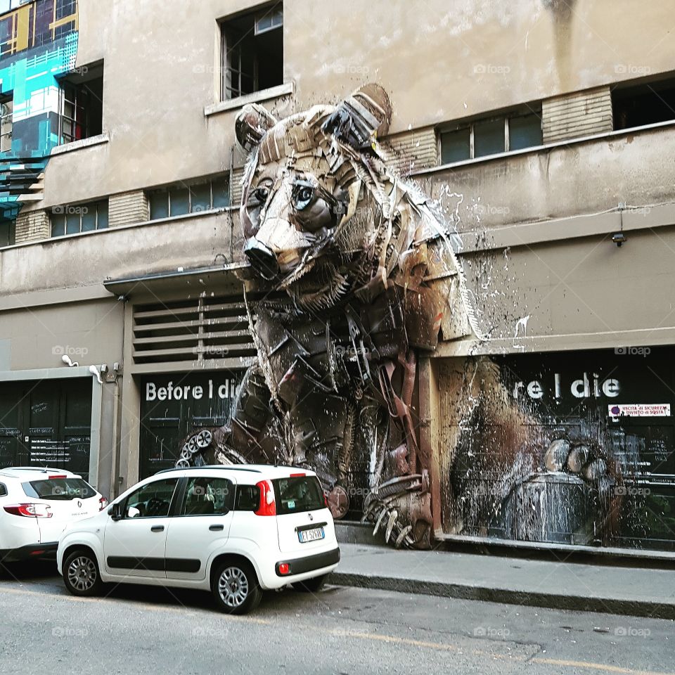 Street art in Turin