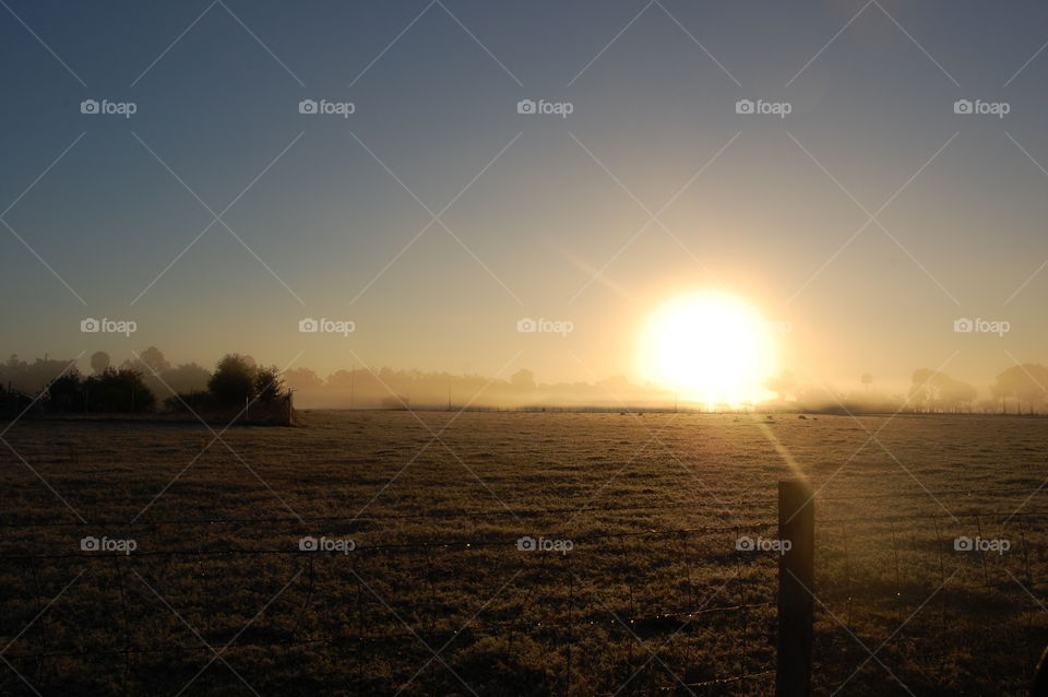 misty Florida sunrise