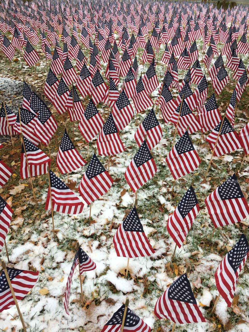 Flags on the snow